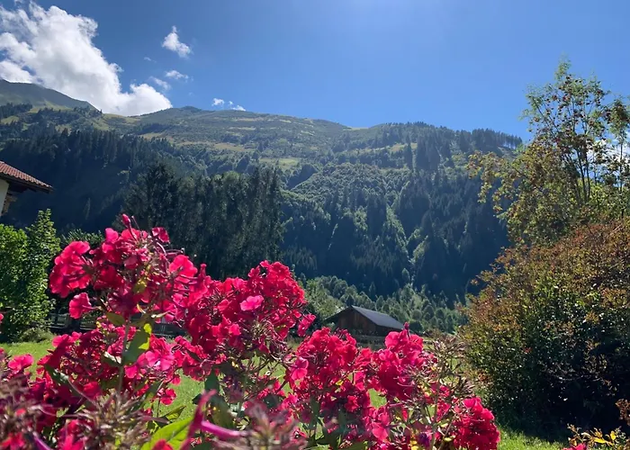 Carmen * ביחלבאך