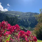 Chalet Villa Alpen Lodge Zugspitze * Bichlbach