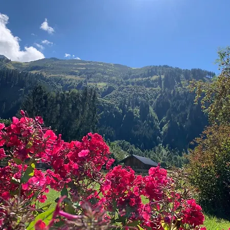 Alpen Zugspitze * Bichlbach